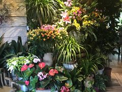 -春暖花开(西溪店)