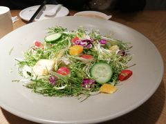 沙拉-宽鲜锅贴家常菜(永旺东部购物中心香港中路店)