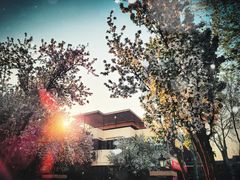 景点-天津五大道文化旅游区