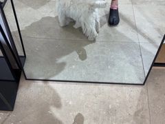 -ZARA HOME(蓝色港湾店)