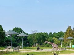 -宁波野生动物园