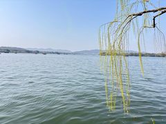 -浙江西子宾馆·牡丹厅