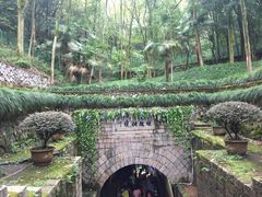 -藏龙百瀑风景区