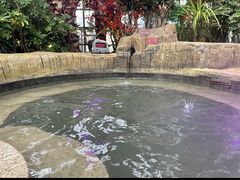 -悦隆庄温泉度假酒店