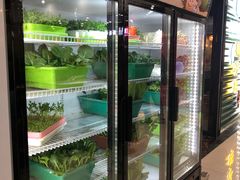 -东椰·海南椰子鸡火锅(朝阳门店)