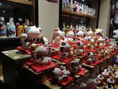 -猫咪博物馆(顶澳仔猫街店)