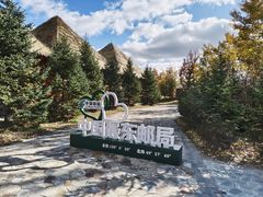 -黑瞎子岛探秘野熊园