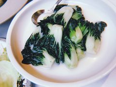 鱼汤煮高山小白菜-广州富力丽思卡尔顿酒店·丽轩·粤菜