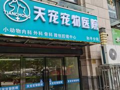-天宠宠物医院24小时·急重症诊疗中心·全科·腔镜特色(和平分院)