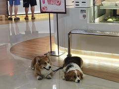 -滋味烤鱼(超洋店)