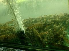 android_upload_pic-合家小菜餐馆(新诚花苑店)