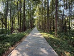 -东湖落雁景区