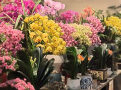 -双季花艺园艺市场(浦东店)