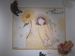 -美罗城