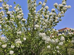 -上海交通大学(闵行校区)