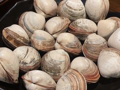 白蚬子-丹东特色烤肉(学府路一部店)