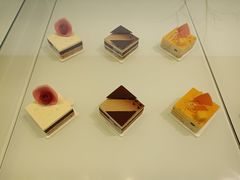 -BLACKSWAN黑天鹅(环球店)