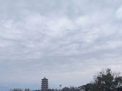 -袁记花椒鸭