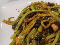 -蓉城小厨·四川味道(浙港国际店)