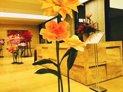 -极斗-IKMF马伽术·格斗运动学院(东直门店)