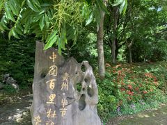-上海滨江森林公园