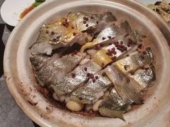 砂锅焗黄花鱼-1937青岛老味道·海肠捞饭·青岛菜(大鲍岛栈桥店)