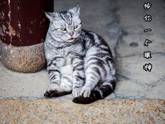 -龙华寺