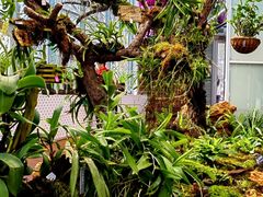 -国家植物园南园