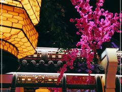 -今朝桃花醉川菜小酒馆(龙湖天街店)