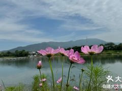 -门城湖公园