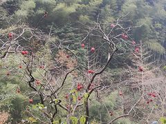 -丹山赤水风景名胜区