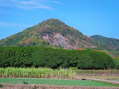 -八卦田遗址公园