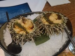 海胆刺身-渡鲑亭(东二环泰禾广场店)
