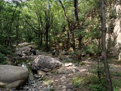 -云岫谷游猎自然风景区