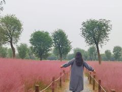 -汉长安城未央宫国家考古遗址公园