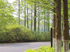 -宜兴龙背山森林公园