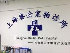-睿金宠物医院·CT·肿瘤·骨外科