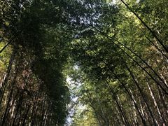 -苏州环秀晓筑养生度假村