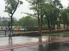 -上海长兴岛郊野公园