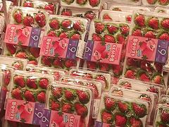 -盒马鲜生(岭南新世界店)