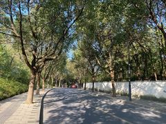 -杭州半山国家森林公园