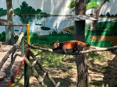 -西霞口神雕山野生动物世界