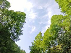 -东天目山风景区