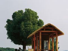 -良渚古城遗址公园