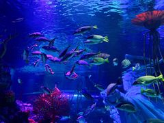 -沈阳海洋探索中心