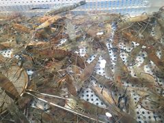 -盒马鲜生(首义店)
