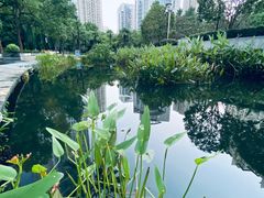 -苏州河梦清园环保主题公园