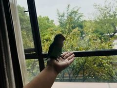 -红豆杉庄会议中心
