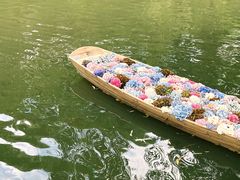 -同里国家湿地公园