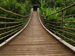 -铁山坪森林公园